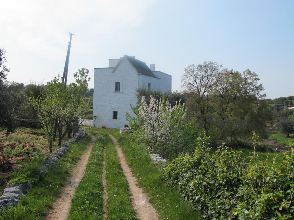 Casa Mario Villa Cisternino Rum bild