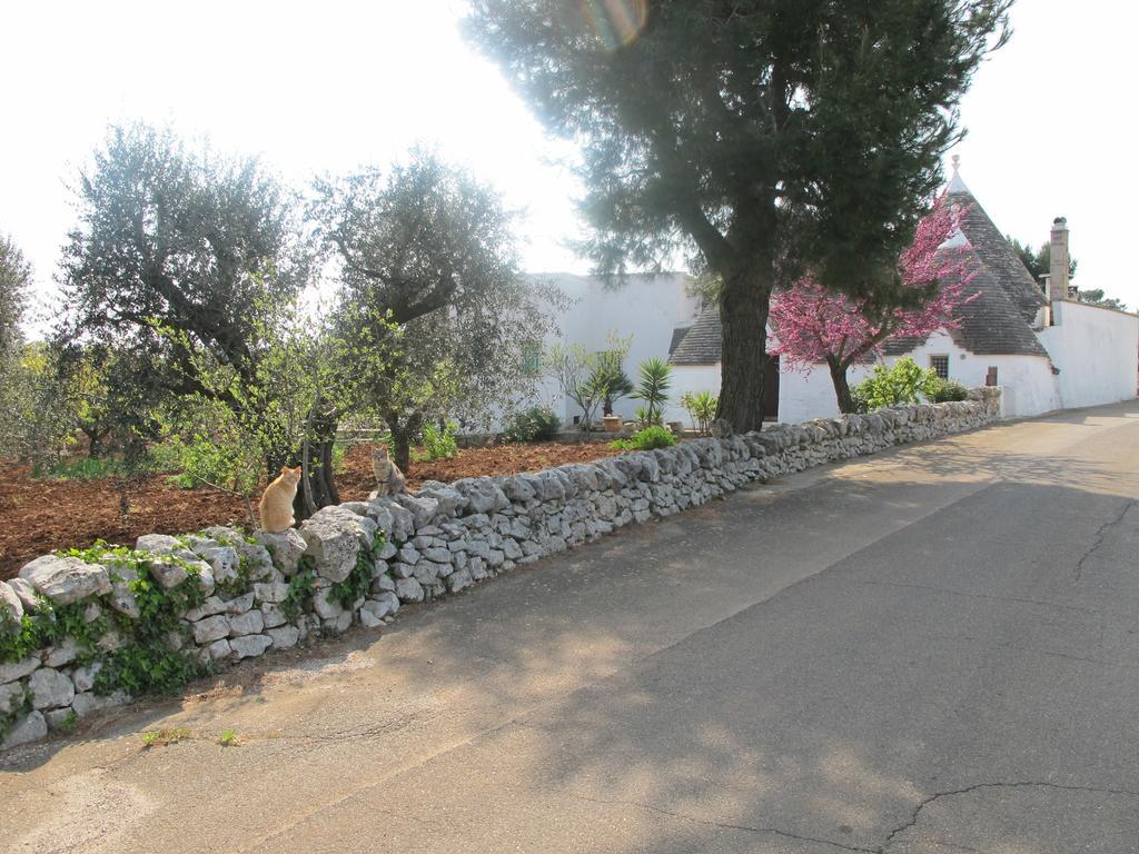 Casa Mario Villa Cisternino Rum bild